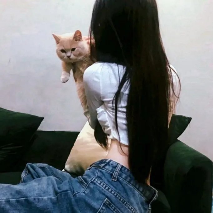 情定金门桥